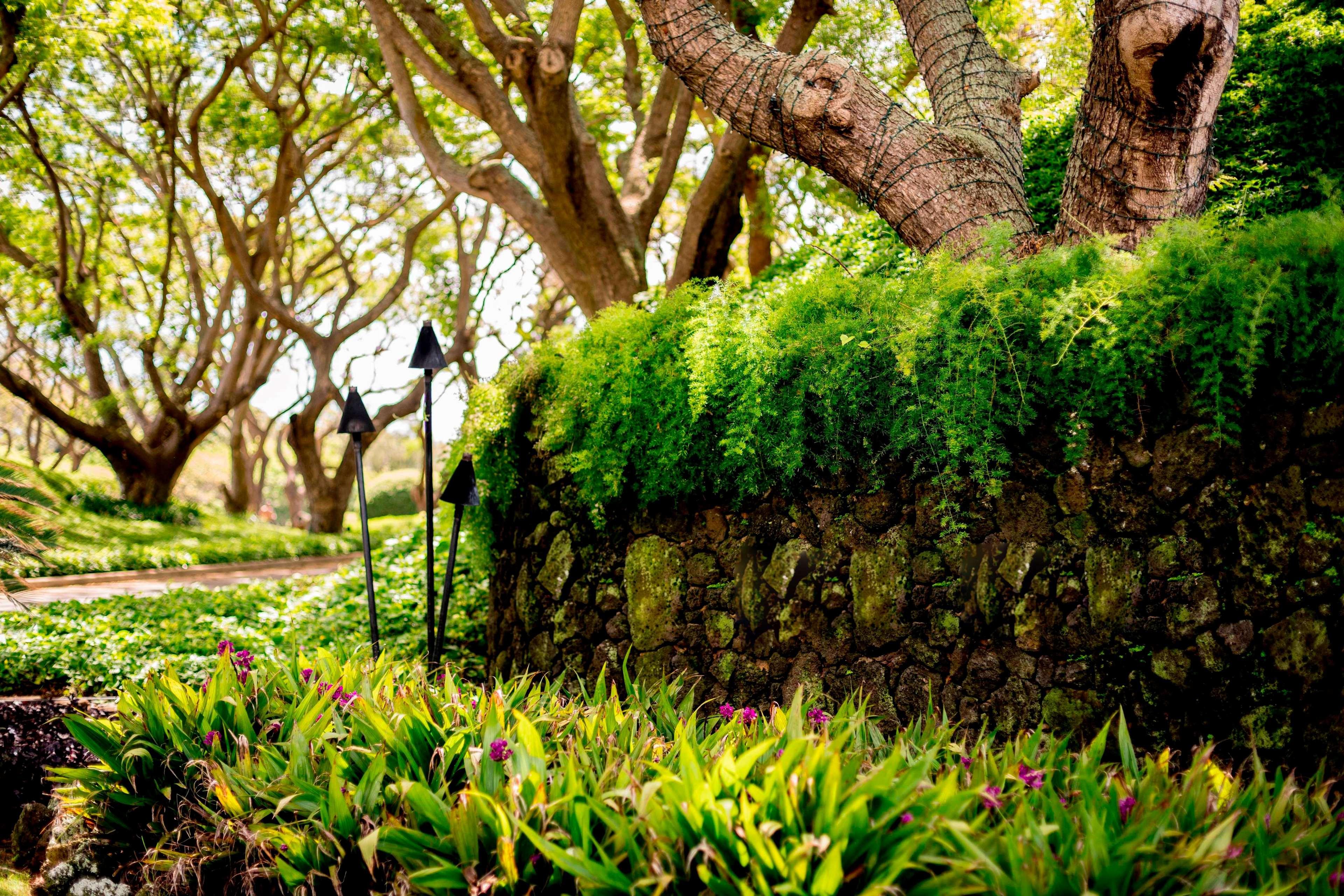 The Royal Sonesta Kauai Resort Lihue Exterior photo